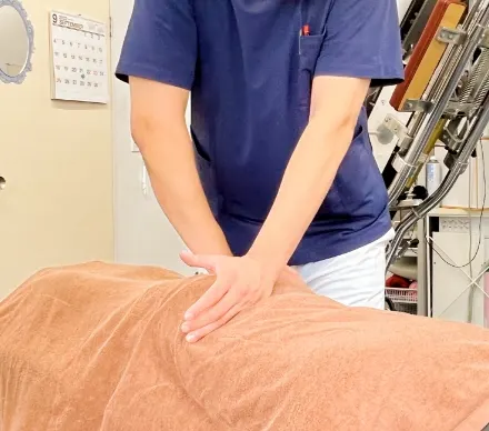カイロプラクティック施術の施術イメージ